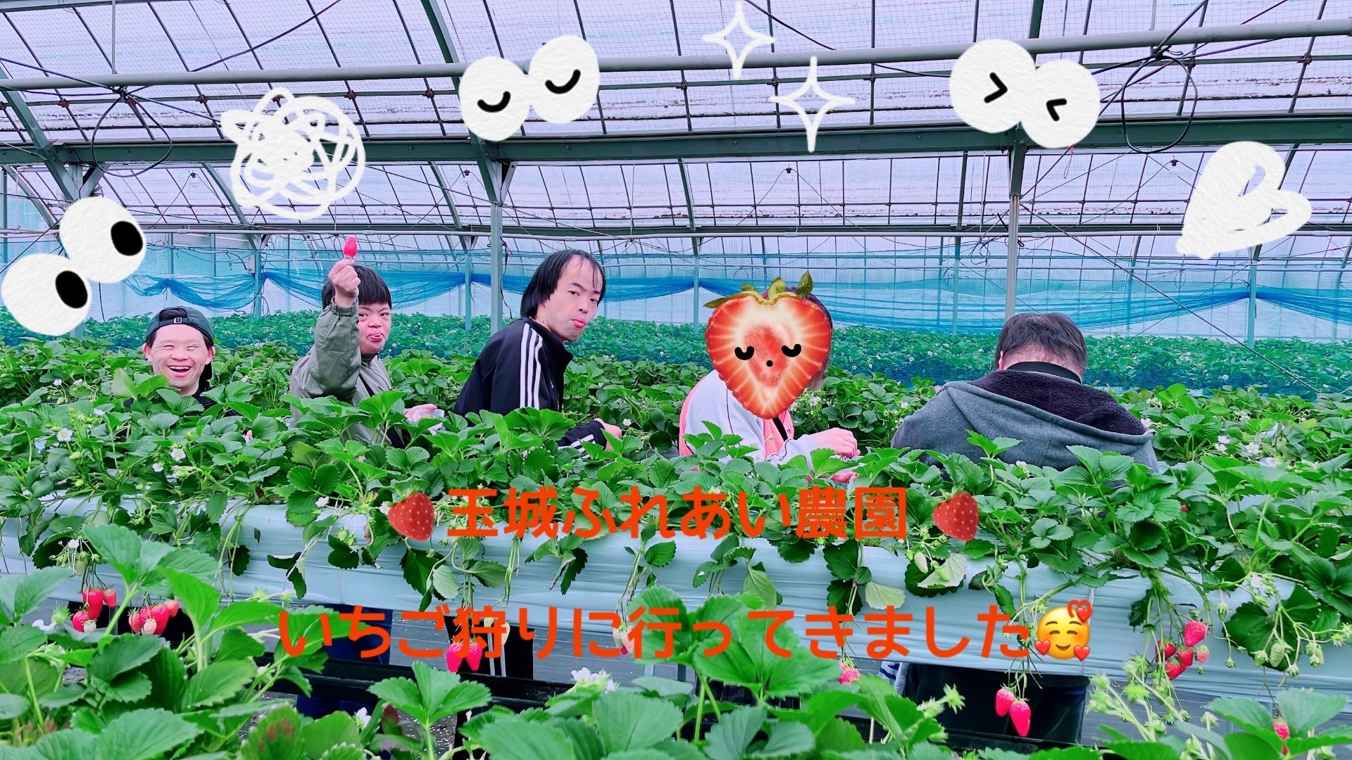 【二見工房そみん】🍓いちご狩りに行ってきました(*^-^*)🍓